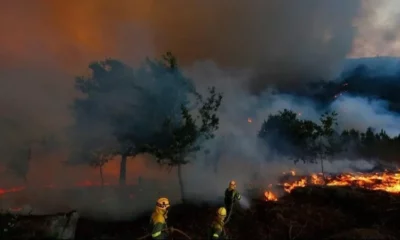 Marchas en todo el país contra los incendios, con un mensaje a Milei: «Apaguen en fuego ya»