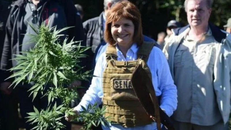 Bullrich anunció que darán de baja a los registros para cultivar marihuana Bullrich anunció que darán de baja a los registros para cultivar marihuana