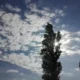 Pronostico para San Juan : Calor extremo y tormentas aisladas