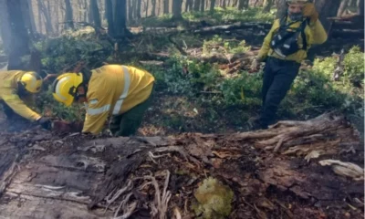 Desde El Bolsón, un bombero sanjuanino contó que será «muy difícil» apagar el fuego