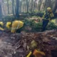 Desde El Bolsón, un bombero sanjuanino contó que será «muy difícil» apagar el fuego