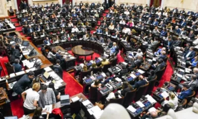 Diputados aprobó «FICHA LIMPIA» y le dio media sanción al proyecto