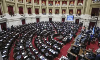 El Senado no creará una comisión para investigar el «criptogate»