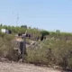 Encontraron muerto al hombre que era buscado desde hace seis días