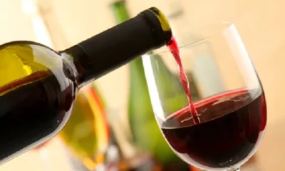 Diez imperdibles vinos sanjuaninos para celebrar el Día Mundial del Syrah