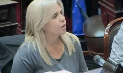 Lejos de apoyar un pedido de juicio político contra Milei, la diputada Picón dijo que «el Presidente debe cuidar lo que dice y hace»