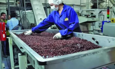 Todos los productos vitivinícolas crecieron en exportaciones, pero hay tres ganadores y están en San Juan