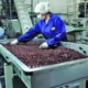 Todos los productos vitivinícolas crecieron en exportaciones, pero hay tres ganadores y están en San Juan
