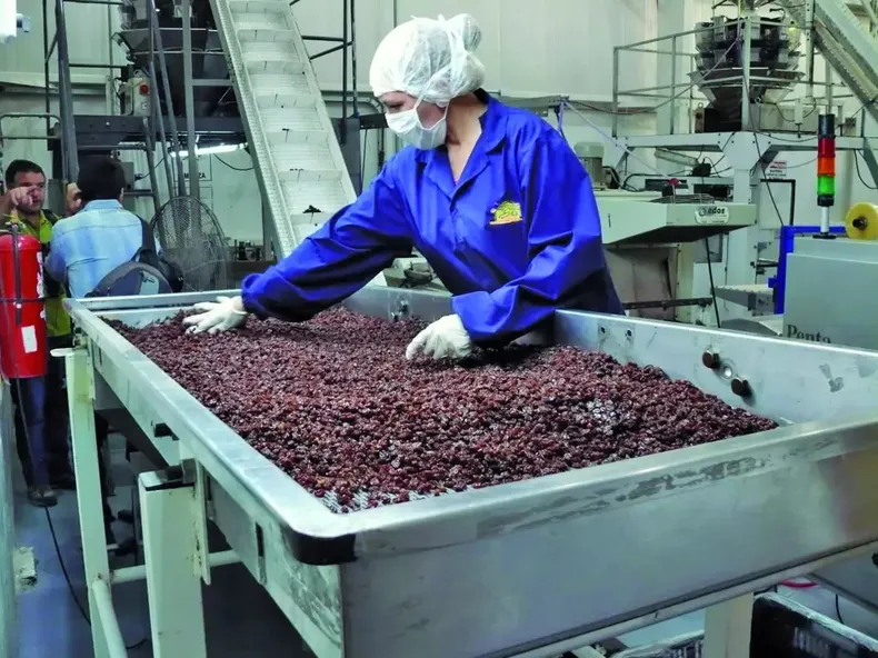 Todos los productos vitivinícolas crecieron en exportaciones, pero hay tres ganadores y están en San Juan Todos los productos vitivinícolas crecieron en exportaciones, pero hay tres ganadores y están en San Juan