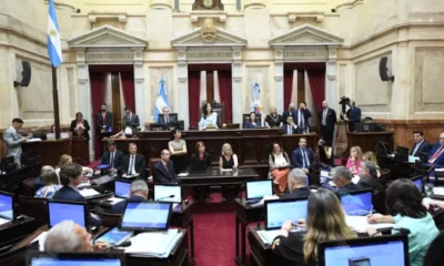 No habrá PASO en 2025: el Senado votó la suspensión