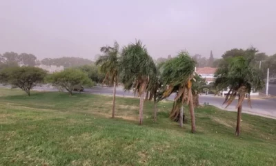 Alerta amarilla en San Juan: anuncian vientos fuertes para el fin de semana