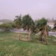 Alerta amarilla en San Juan: anuncian vientos fuertes para el fin de semana
