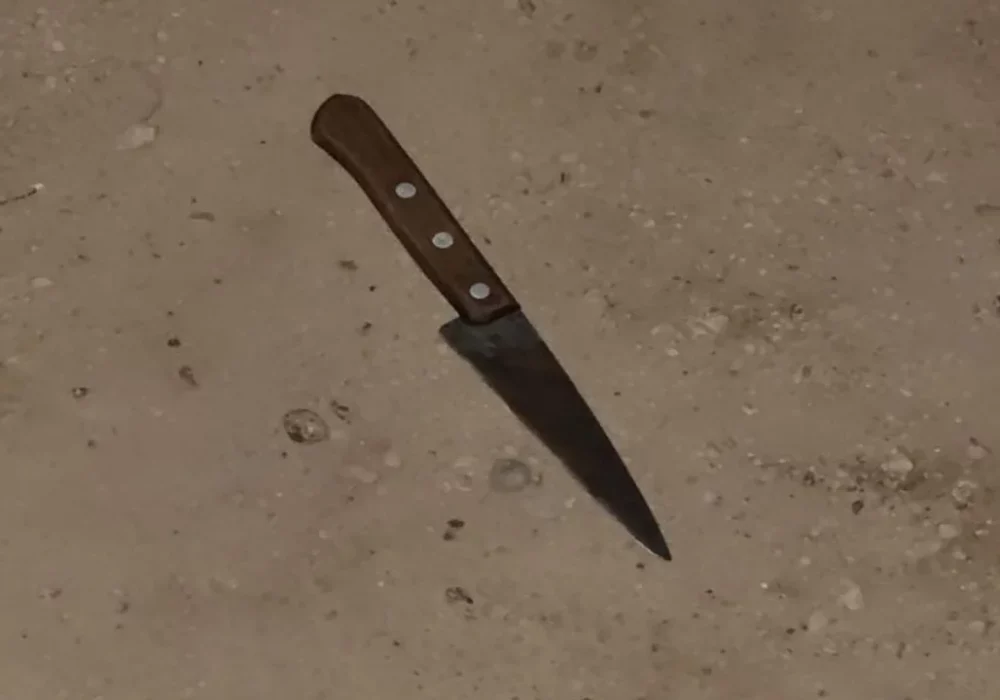 El calvario de una mujer: su ex llegó borracho y la agredió con un cuchillo El calvario de una mujer: su ex llegó borracho y la agredió con un cuchillo