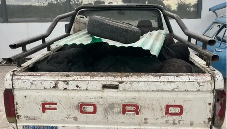 Tres ladrones terminaron detenidos por robar una gran cantidad de pasas de uva en Caucete Tres ladrones terminaron detenidos por robar una gran cantidad de pasas de uva en Caucete