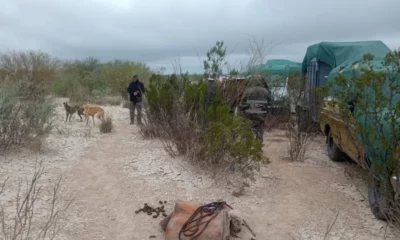 Secuestraron 25 galgos y armas ilegales en Albardón