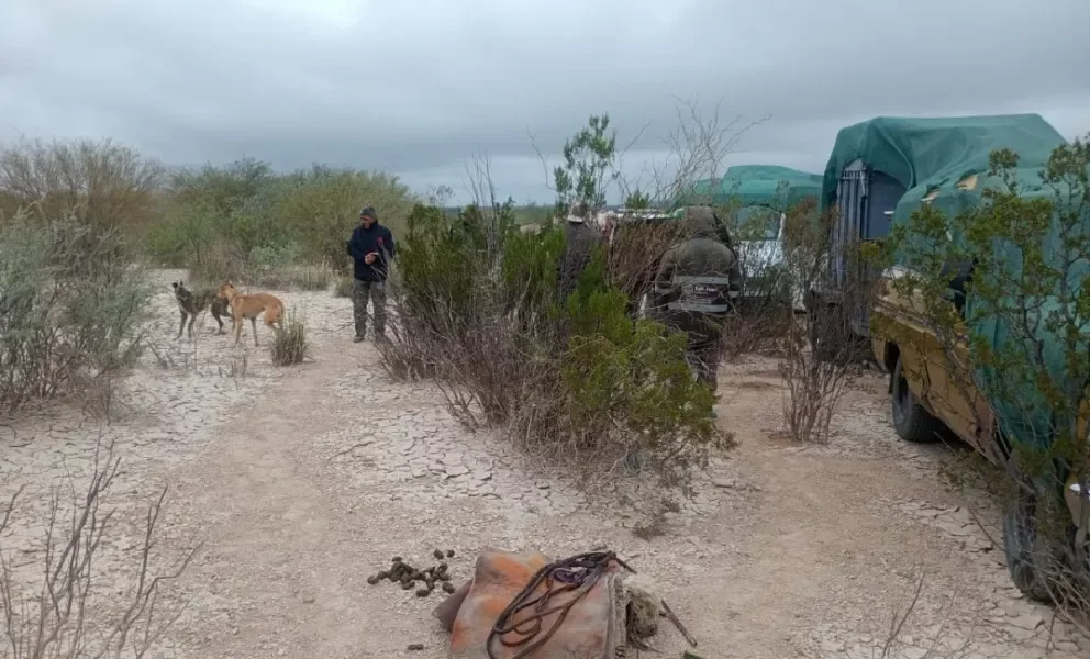 Secuestraron 25 galgos y armas ilegales en Albardón