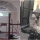 El Museo Arqueológico de Villa Calingasta fue desmantelado y terminó con graves destrozos: «Rompieron la cultura de un pueblo»