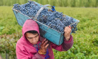 Batería de reclamos de productores para el titular del INV que visita San Juan