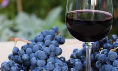 Día del Malbec: San Juan fue la provincia donde más creció la producción
