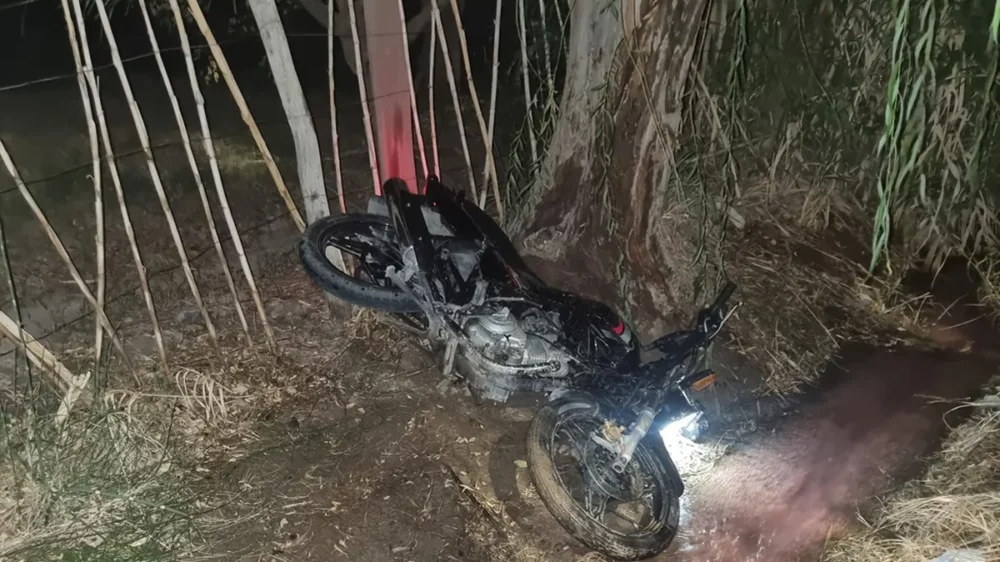Se quedó dormido manejando su moto y chocó contra un árbol Se quedó dormido manejando su moto y chocó contra un árbol