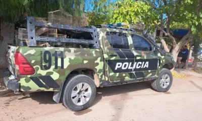 Operativo contra la caza ilegal: rescatan 17 aves autóctonas y detienen a un hombre