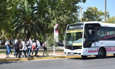 El Boleto Escolar y Docente Gratuito se implementará a partir del 14 de abril