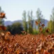 Miércoles soleado en San Juan: la semana continúa con buen tiempo