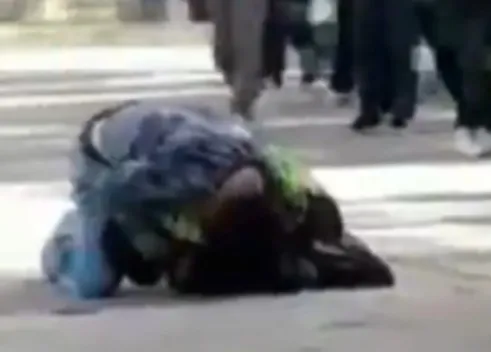 Crearon un canal de WhatsApp para organizar peleas callejeras, filmarlas y subirlas a las redes Crearon un canal de WhatsApp para organizar peleas callejeras, filmarlas y subirlas a las redes