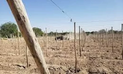 Comenzaron a cerrar el predio de la Escuela de Enología tras 60 años de ocupación