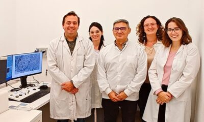 Científicos del Conicet descubrieron una nueva forma de frenar el crecimiento de tumores intracraneales