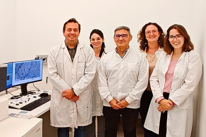 Científicos del Conicet descubrieron una nueva forma de frenar el crecimiento de tumores intracraneales Científicos del Conicet descubrieron una nueva forma de frenar el crecimiento de tumores intracraneales