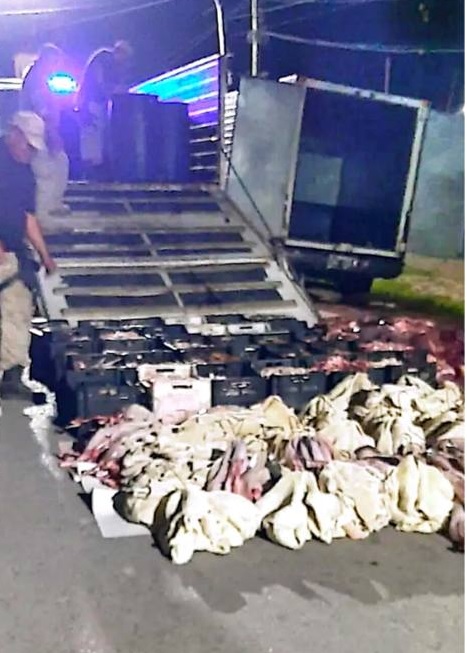 Otra vez carne en mal estado: secuestraron 800 kilos en un operativo en Sarmiento Otra vez carne en mal estado: secuestraron 800 kilos en un operativo en Sarmiento