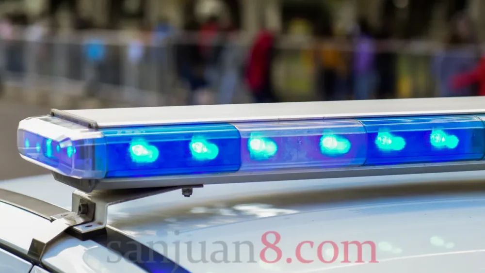 Detuvieron a un hombre por agredir a su pareja e intentar huir en Rivadavia Detuvieron a un hombre por agredir a su pareja e intentar huir en Rivadavia
