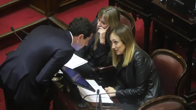 En un final inesperado, el Senado rechazó Ficha Limpia En un final inesperado, el Senado rechazó Ficha Limpia