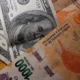 Gobierno impulsa el bimonetarismo, con mayor circulación de dólares: impacto en el precio del billete, reservas y PBI