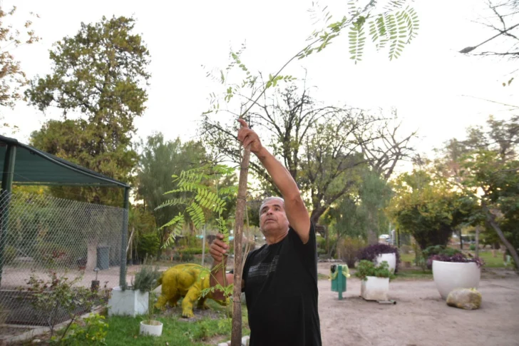 Producción de árboles autóctonos en San Juan: el rol clave del Vivero Municipal Producción de árboles autóctonos en San Juan: el rol clave del Vivero Municipal