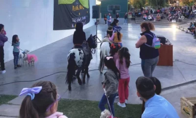 Los niños se encargarán de elegir a las mascotas más encantadoras