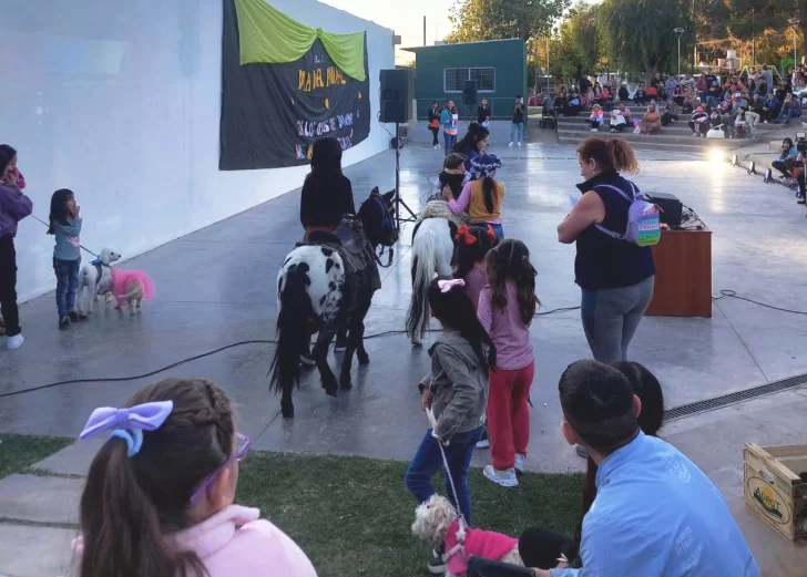 Los niños se encargarán de elegir a las mascotas más encantadoras Los niños se encargarán de elegir a las mascotas más encantadoras