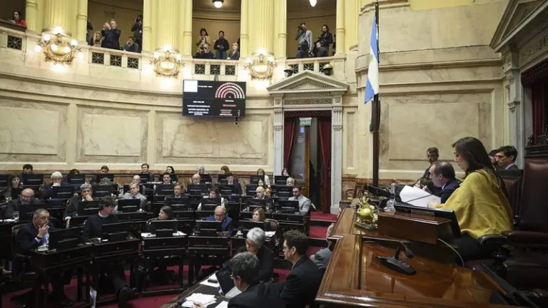 Emergencia en Discapacidad es Ley: la mayoria absoluta del senado le dijo no a Milei Emergencia en Discapacidad es Ley: la mayoria absoluta del senado le dijo no a Milei